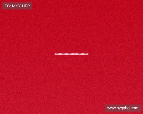 莱比锡宣布续租维拉后卫内德利科维奇 新赛季继续效力一个赛季